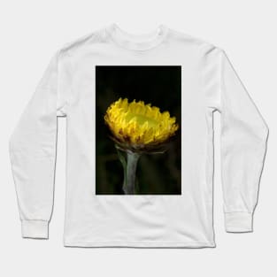 Everlasting Long Sleeve T-Shirt